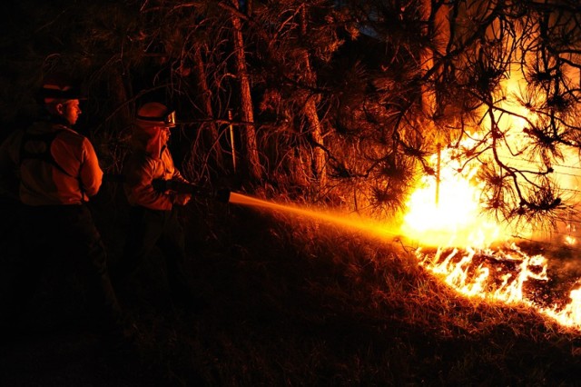 Kampinos - pożar. Płonie 15 hektarów lasu obok Nowego Dworu Mazowieckiego