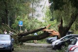 Pogoda Płock. Ostrzeżenie meteo - burza z gradem w środę 24 sierpnia. Lepiej zostań w domu