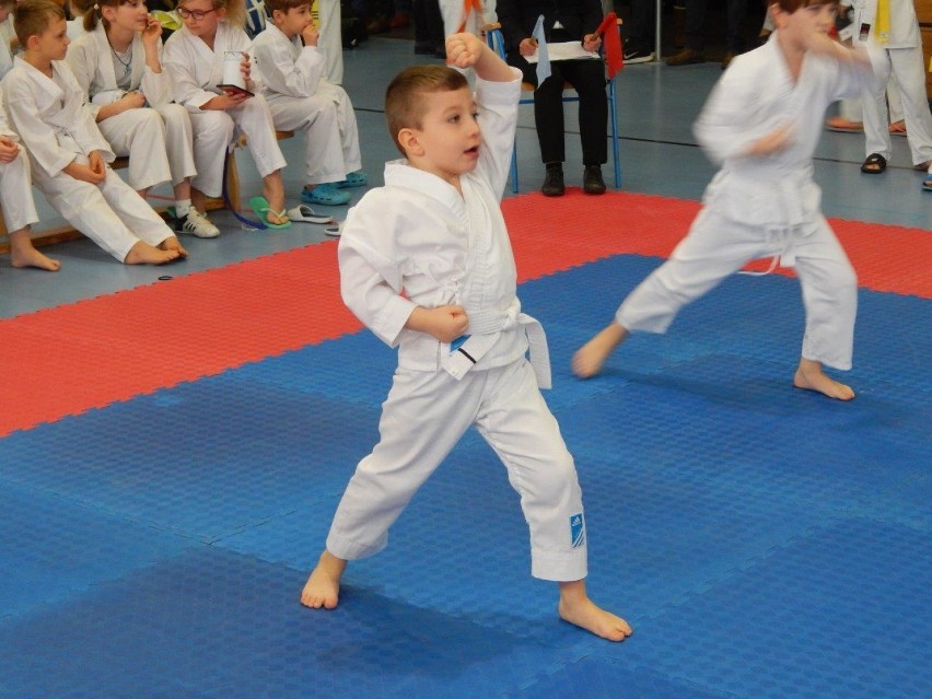 Sukces Karate Team Oborniki na Mistrzostwach Wielkopolski Dzieci i Młodzieży w karate olimpijskim 