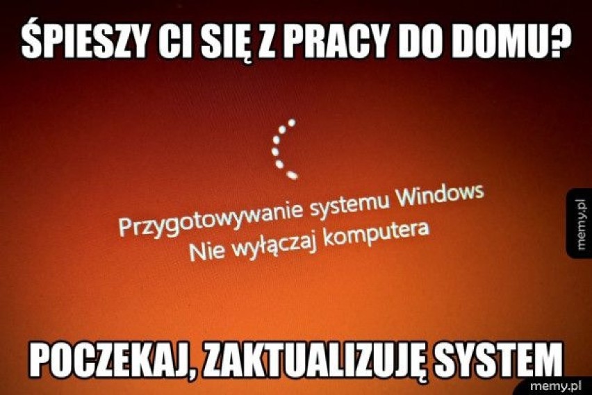 24 sierpnia swoje święto ma system operacyjny Windows....