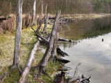 Sfotografuj zagrożenia nad wodą – wygraj nagrody