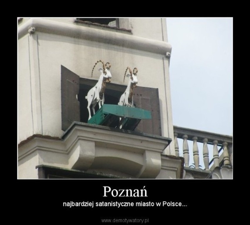 Poznań na demotywatorach