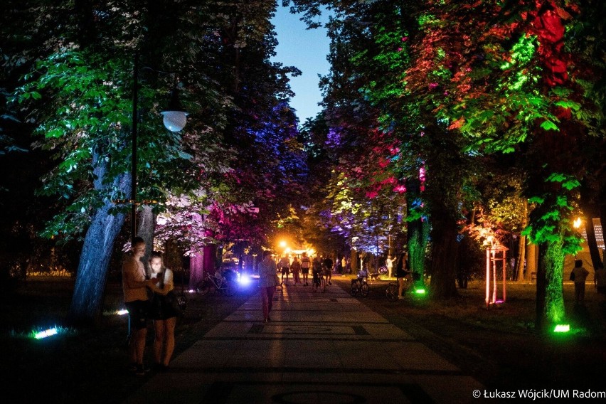 Niesamowite iluminacje w parku Kościuszki w Radomiu. Zobaczcie jak wyglądał po zmroku
