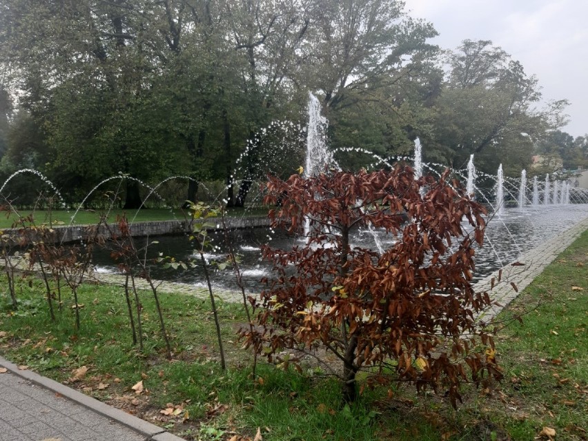 Pierwsze oznaki jesieni w parku w Wejherowie