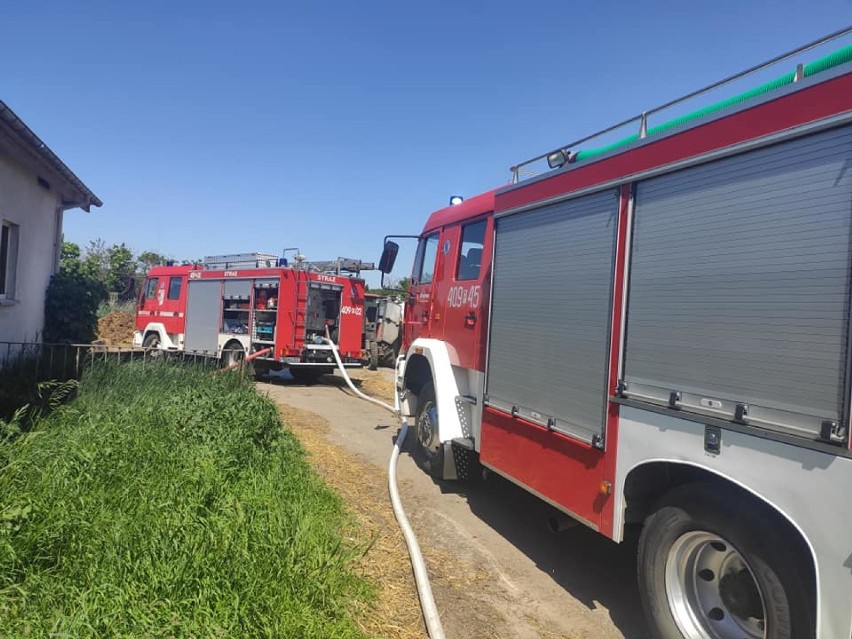 Dwa pożary w gminie Budzyń: Paliła się chlewnia w Ostrówkach i las w Brzekińcu [ZDJĘCIA]