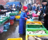 Takie są ceny karpia i innych ryb przed Bożym Narodzeniem 2022 na Targowisku Miejskim w Inowrocławiu [22.12.2022]