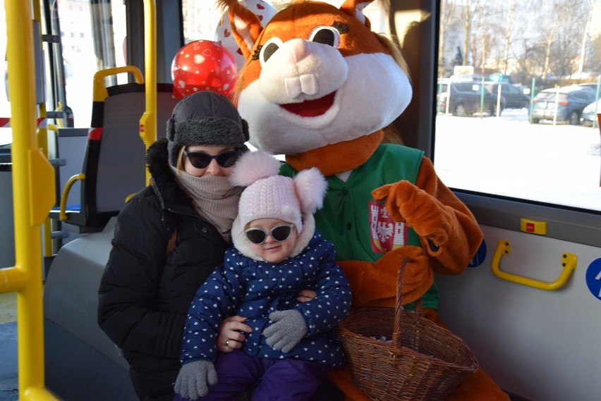 Inowrocław. Walentynki w Inowrocławiu rozpoczęte. WiewiórINKA częstuje słodyczami pasażerów autobusu MPK. Program walentynkowy jest bogaty 