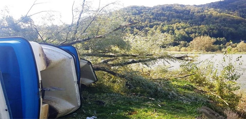 Pod wpływem silnego wiatru drzewo runęło raniąc dwie osoby.