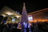 Katowice: Choinka przed Galerią Katowicką już stoi [ZDJĘCIA] Jesteście za?