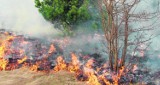 Wypalanie traw. Problem istnieje nie tylko w Aleksandrowie Kujawskim, ale całym powiecie