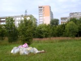 Nielegalne wysypiska śmieci utrapieniem polskich miast i wsi