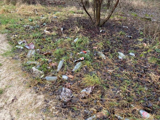 Mieszkańcy osiedla Nowy Baranówek w Kielcach  posprzątali zaśmiecony zielony teren między ulicami Rajtarską i Chodkiewicza, tak wygląda po roku.