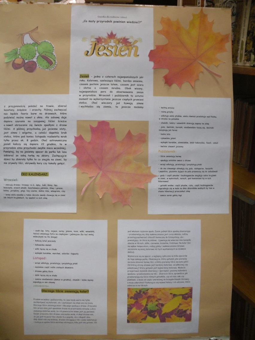 „Jesień w bibliotece” - wystawa literatury dla dzieci i młodzieży [ZDJĘCIA]