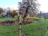 Wandale zdewastowali park w Aleksandrowie Kujawskim. Szuka ich policja