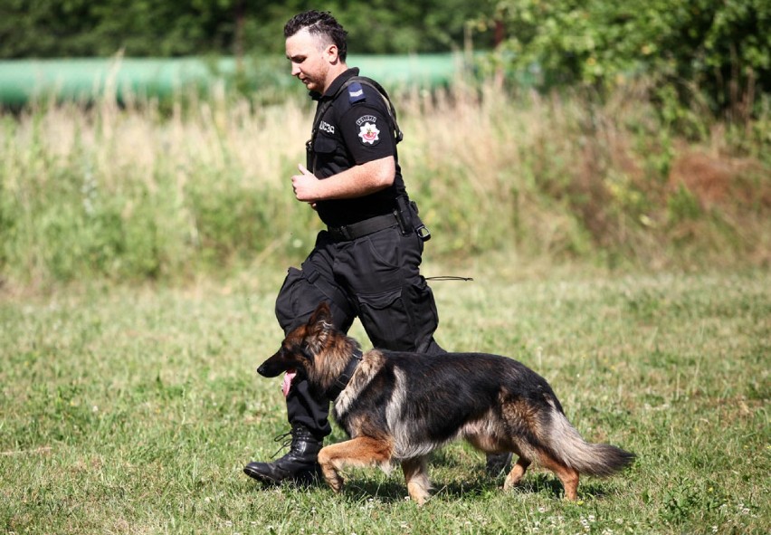 Zawody psów policyjnych w Łodzi