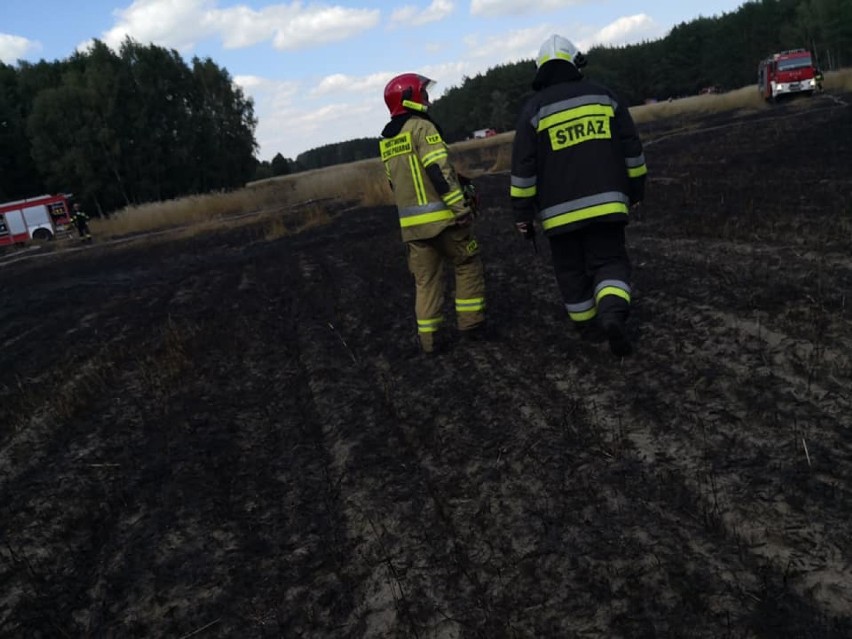 Gmina Nowy Tomyśl: Trwa plaga pożarów. W środę paliło się w Szarkach [FOTO]