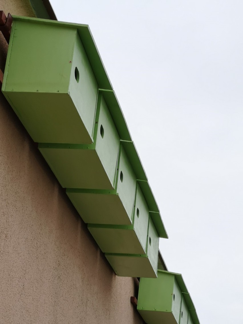 Pracownicy Międzyzakładowej Spółdzielni Mieszkaniowej w Suwałkach zamontowali budki dla jerzyków