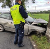 Wypadek w Żernicy. Młody kierowca wjechał w drzewo, dwie osoby ranne