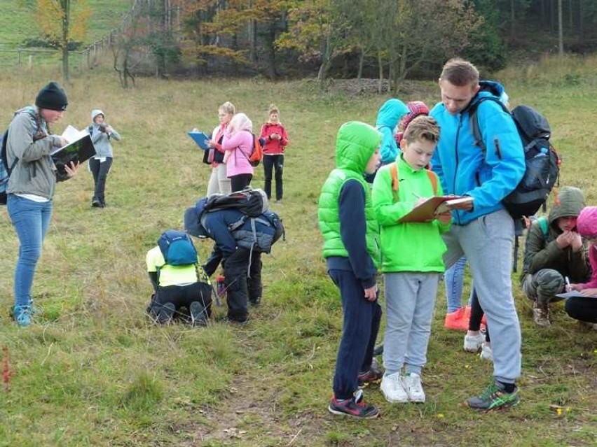 Uczniowie ze Szkoły Podstawowej nr 3 w Głuszycy biorą udział w projekcie „Góra matematyki"
