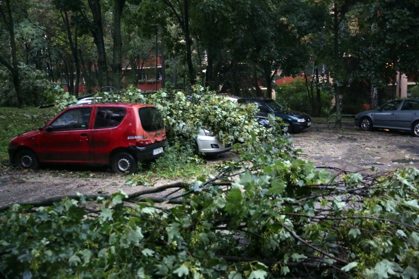 Pogodowy armagedon w Lublinie i okolicach. Strażacy cały czas pracują, aby drogi były przejezdne. Zobacz
