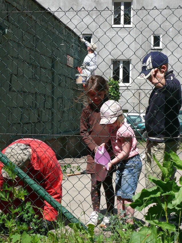 Mieszkańcy kamienicy przy Placu Grunwaldzkim 16 upiększanie swojego podwórka rozpoczęli już w ubiegłym roku. Po wyprzedaży mają nadzieję ustawić tam więcej kwiatów.