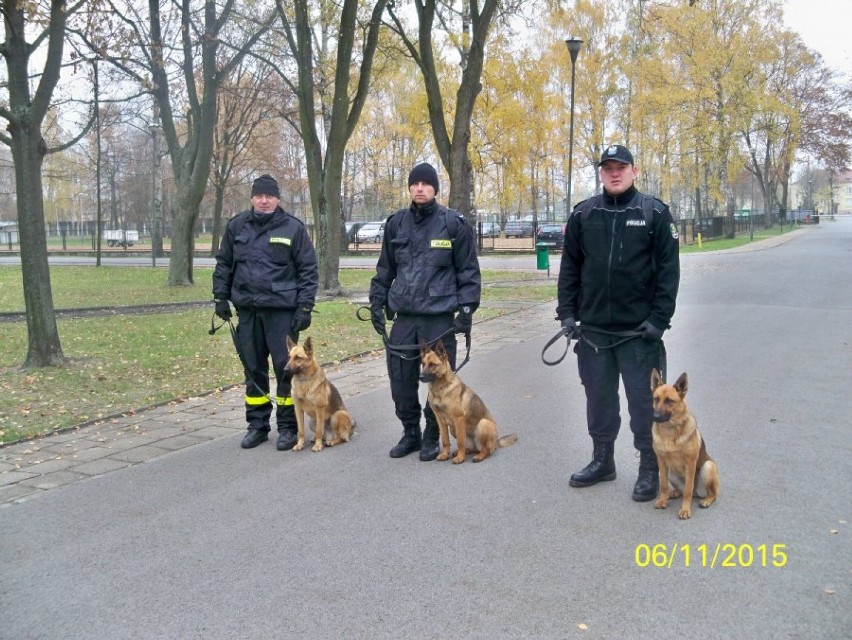 Psy policyjne w Zabrzu: Wiki - nowy pies w zabrzańskiej...
