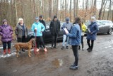 Mieszkańcy Leszna ruszyli z pomocą, by znaleźć psa. Fafel trzy dni błąka się po lesie [ZDJĘCIA i FILM]