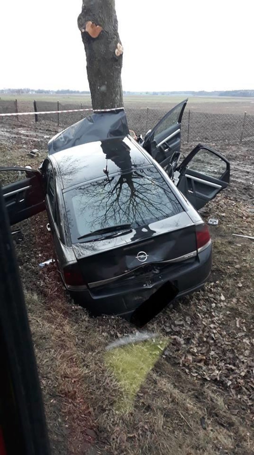 Gmina Kodrąb: Wypadek na DK 42 w Rzejowicach, auto uderzyło w drzewo. Policja szuka świadków