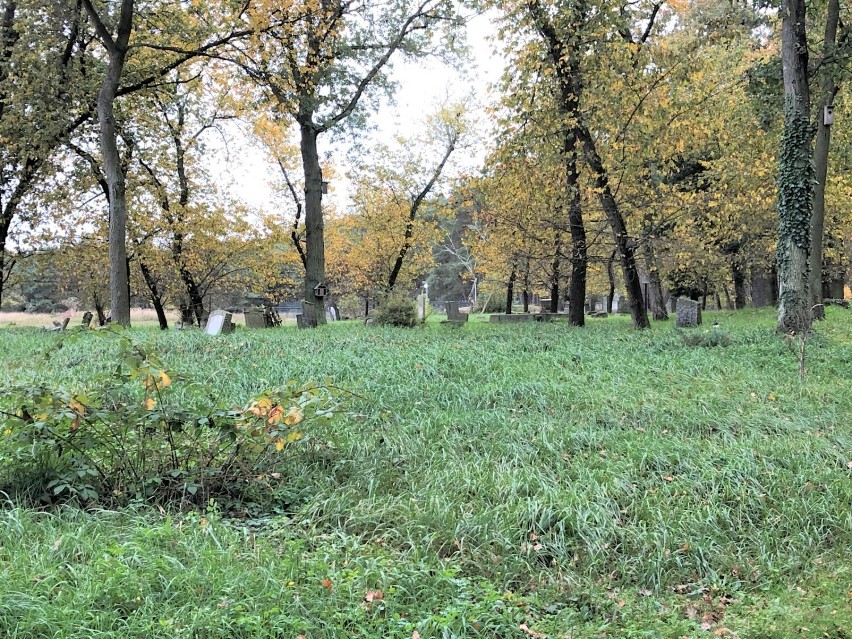 Na cmentarzu ewangelickim w Strzyżewicach od dawna nie grzebie się zmarłych 