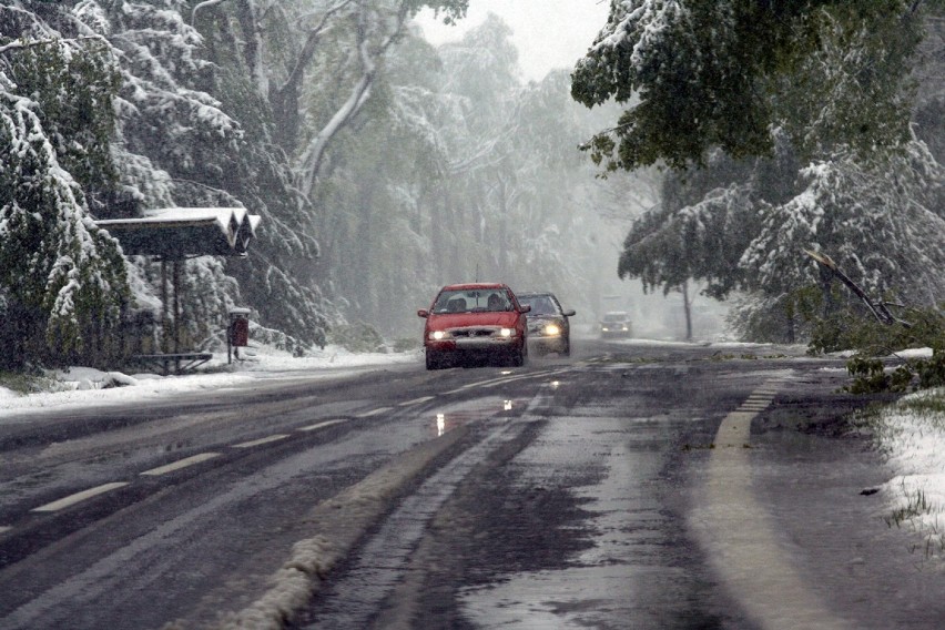 Pamiętacie majowy śnieg w Legnicy? to już dziewięć lat minęło  [ZDJĘCIA]