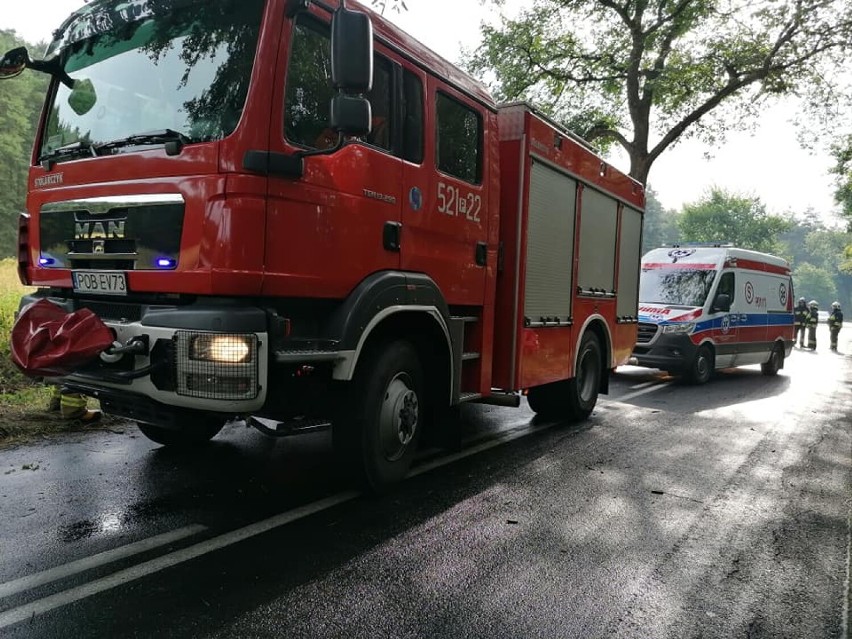 Wypadek w Słonawach pod Obornikami. Samochód uderzył w drzewo [ZDJĘCIA]