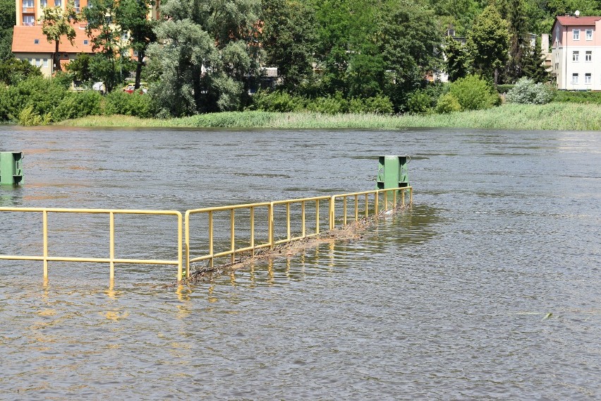 Poziom wody w Odrze w Krośnie Odrzańskim wciąż powoli...