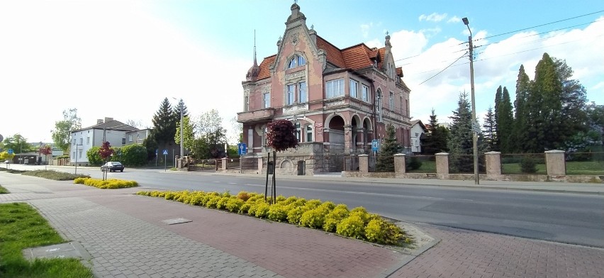 O kwitnące kwiaty na Placu Jana Pawła II i przy ul. Wolności...