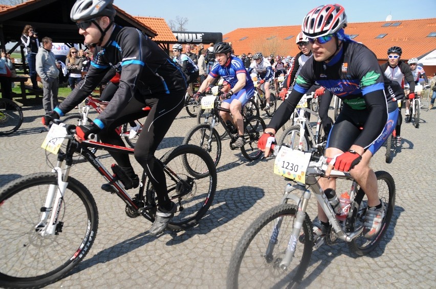 Grand Prix Wielkopolski w maratonach MTB 2013 w Dolsku. 21...