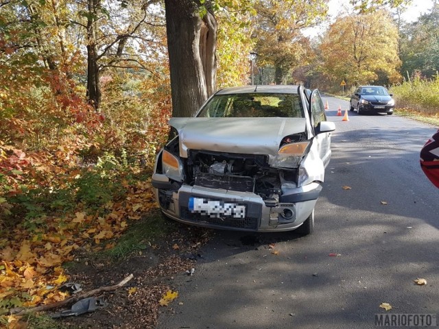 Na ul. Modrzewiowej w Turawie Marszałkach zderzyły się dwa samochody osobowe.