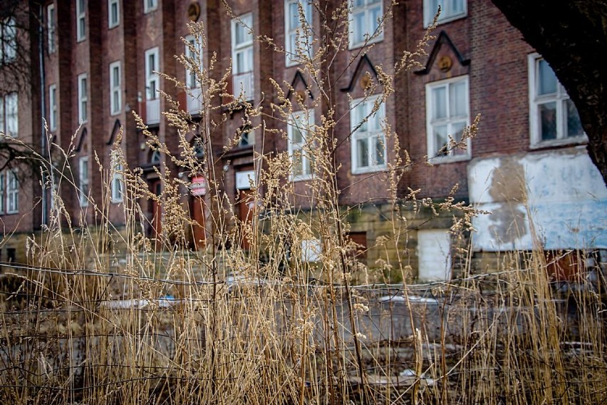 Wałbrzych: Budynek byłej szkoły na ul. Kombatantów nadal niszczeje (ZDJĘCIA)