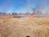 Szamotuły. Strażacy ujęli mężczyznę, który podpalił trawy [FOTO]