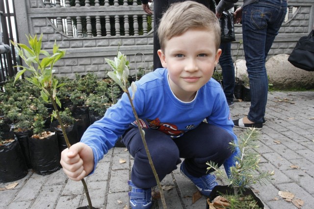 Drzewko za makulaturę 2014 - Puck