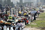 Cmentarz w Opolu droższy, niż w innych miastach? Radny: "Opłaty są pobierane, a poprawy infrastruktury nie widać"