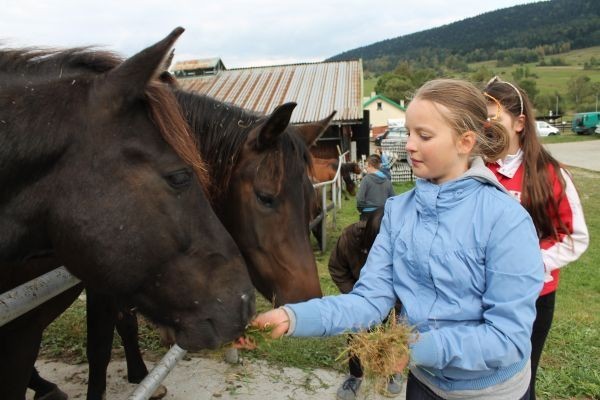 Dni Huculskie 2012 w Regietowie [ZDJĘCIA]