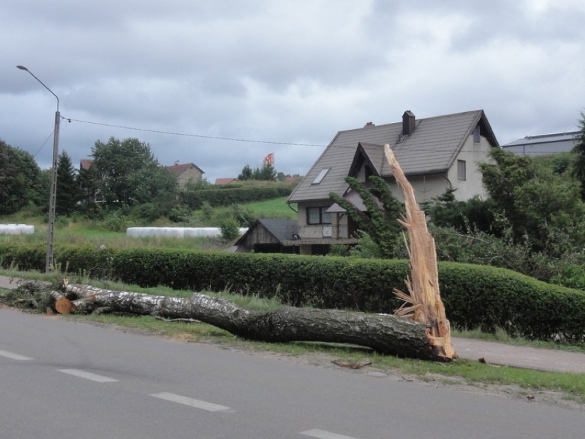Powalone drzewa na trasie Sierakowice - Gowidlino 12.08.2017