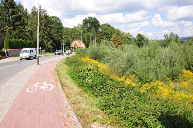 Tak obecnie wygląda teren na którym powstanie nowy park w Krośnie. Miejsce samosiejek i chaszczy zajmą alejki i parkowe rośliny