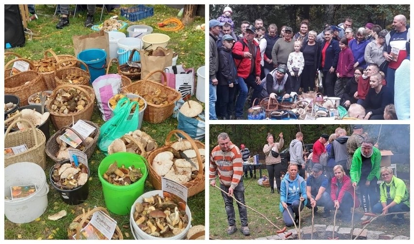 Grzybobranie w Janowcu Wielkopolskim.