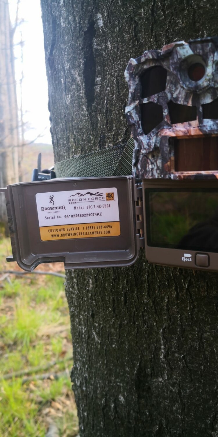 Kamery wykrywają szkodnictwo leśne i prowadzą monitoring...