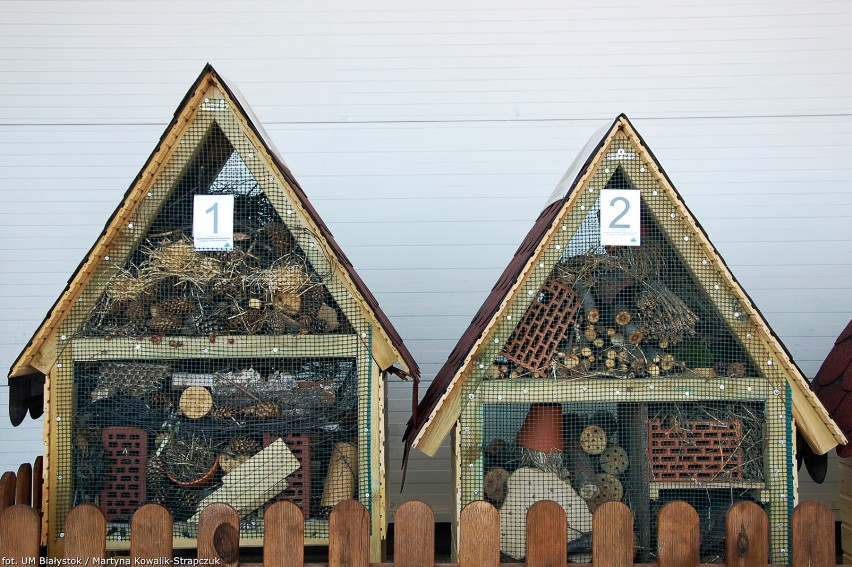 Domki dla owadów w Białymstoku. Tu się schronią motyle, biedronki, pszczoły [zdjęcia]