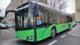 Nowe autobusy MZK wyjechały na ulice Piotrkowa, są to tzw. miękkie hybrydy ZDJĘCIA