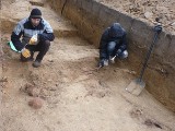 Odnaleziono żołnierzy na Nowym Cmentarzu? Badania archeologów powinny rozwiać wątpliwości