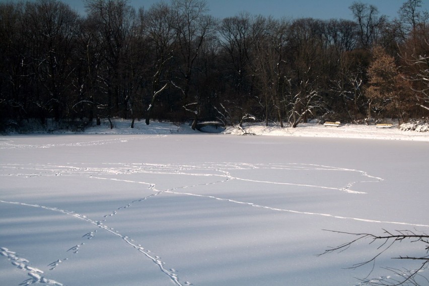 Jeziorko pod lodem i śniegiem.  fot. R. Grzeszczyk