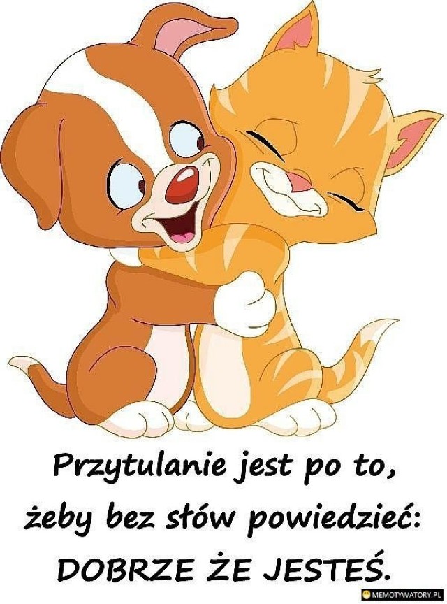 Międzynarodowy Dzień Przytulania zaczęto obchodzić 31 stycznia w latach 80. w Stanach Zjednoczonych. Tradycja szybko się przyjęła w wielu krajach świata, bo też przytulanie jest prozdrowotne! Jest antydepresantem, obniża ciśnienie i poczucie osamotnienia, redukuje stres, zwiększa zaufanie do bliźniego, poprawia poczucie własnej wartości. No to - przytulajmy się. A jak to widzą prześmiewcy z internetu? Zobaczcie memy!