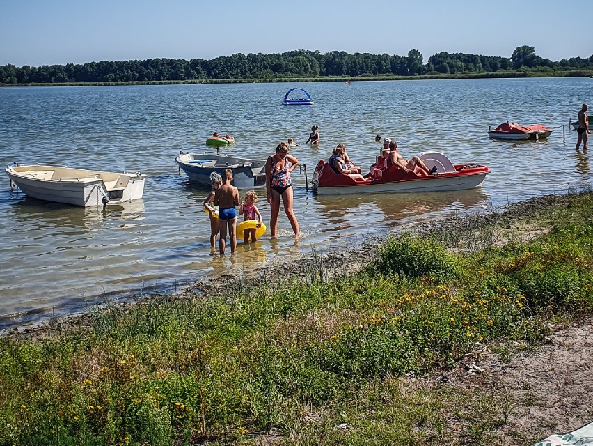 Letniska nad jeziorami wokół Leszna oblężone 15 sierpnia...